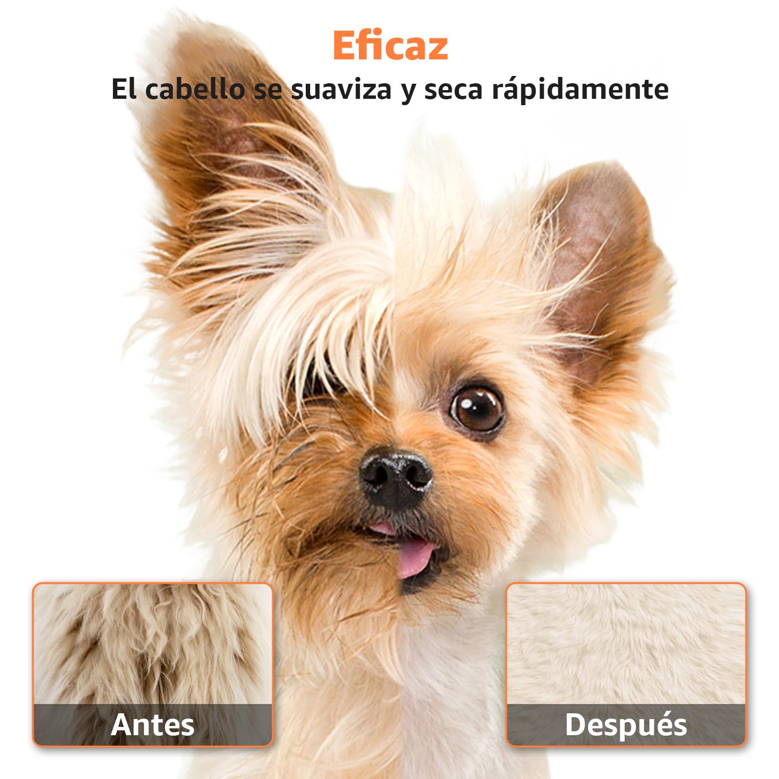 XKISS Soffiatore per Cani 2800W Asciugatore per Cani Continua con velocità e Temperatura Regolabile Asciugacapelli per Animali Domestici，Grooming Cane Animali，con 4 Accessori(Verde)