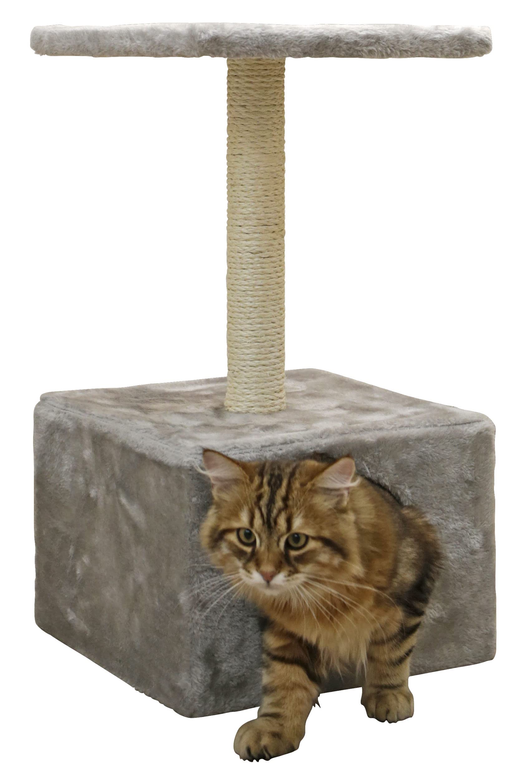 Kerbl Pet Arbre à Chat Amethyst Gris, 57cm
