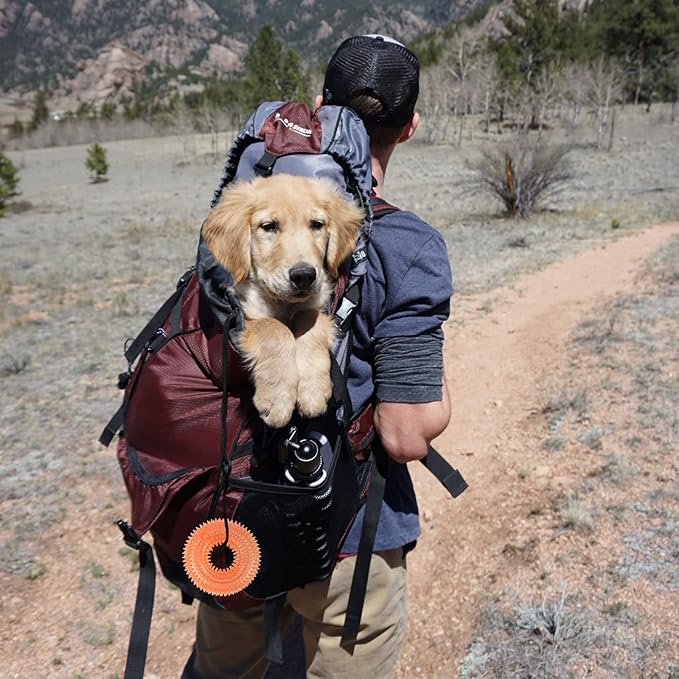 Juguete para Perros Mordible y Sonoro Andiker, TPR, Limpieza Dental, Naranja Pequeño miniatura 6