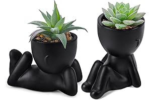 Der Rose Fake Plants: Enhancing Home and Office Decor with a Touch of Nature