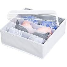 Astro 730-29 Compact Storage Case, White, Wide, 5 Squares, Small Items, Underwear, Drawer, Divider, Storage Box, Non-woven Fabric, With Lid, Foldable