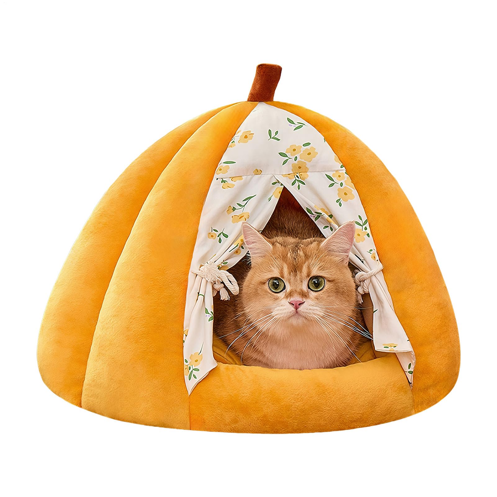 Lit mignon pour chat idéal pour réchauffer le salon en hiver