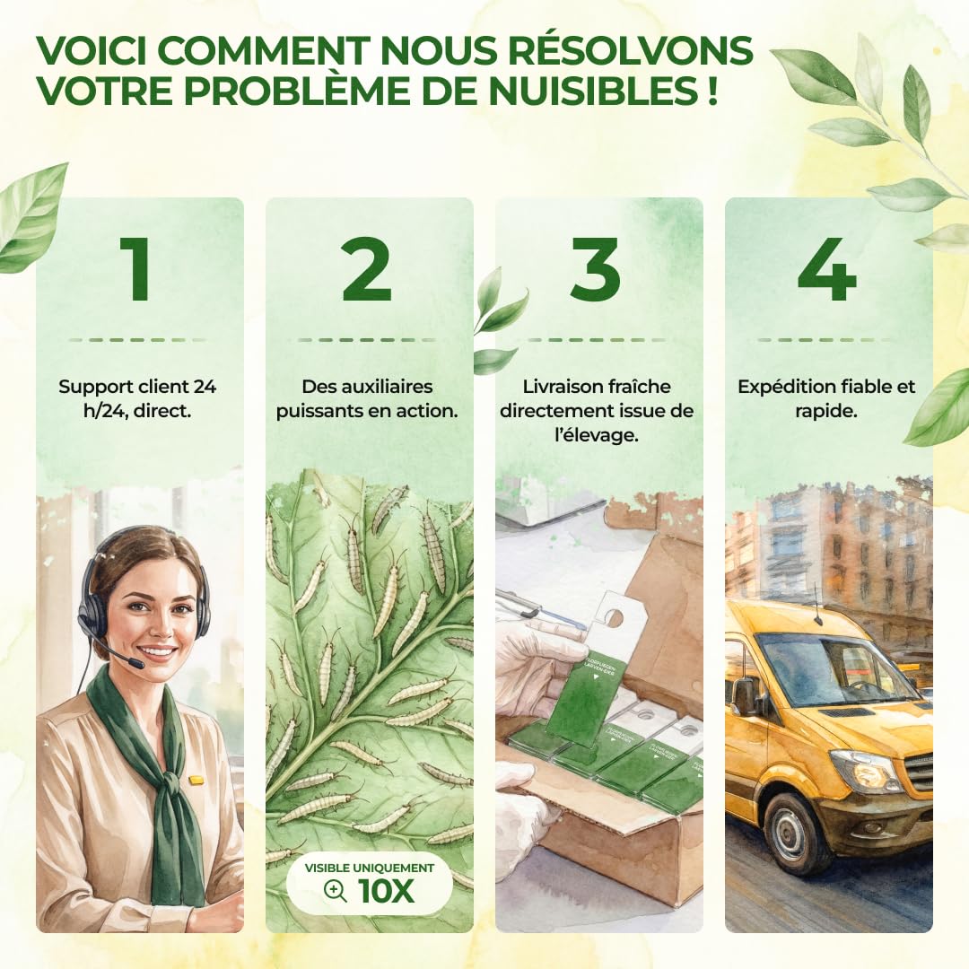 GREEN GUARDIA Power Lot de 15 sachets d'œufs de larves de chrysopes contre les pucerons et les cochenilles – Produit biologique pour lutter efficacement contre les pucerons et les cochenilles pour