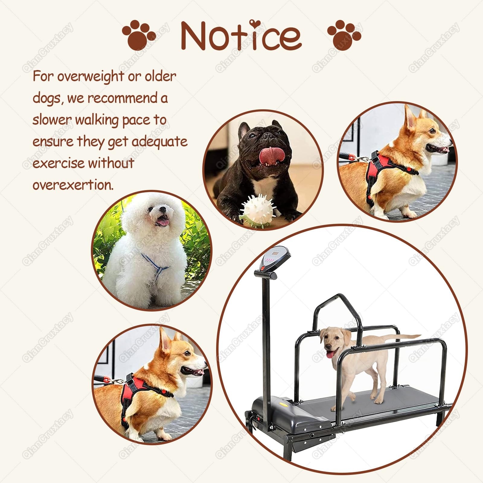 Máquina de Entrenamiento para Perros con Pantalla LCD, Cinta de Correr para Uso Doméstico, Funcionamiento Silencioso, Capacidad Máxima 175 lbs, para Mascotas Activas