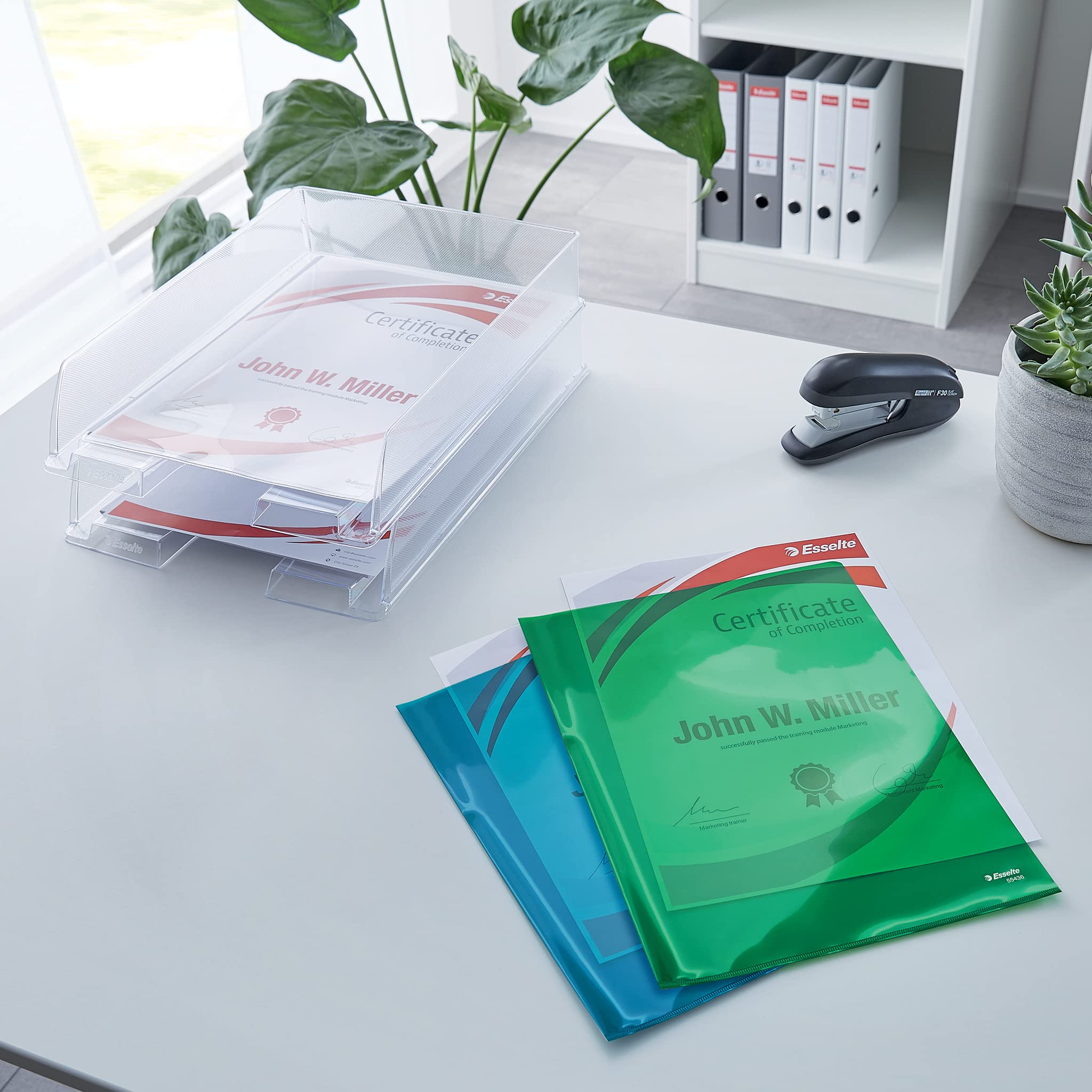 Esselte Buste L PVC Cristal, per Archiviare e Conservare Documenti in Formato A4, Confezione da 25 Buste Rosse Trasparenti, 55433