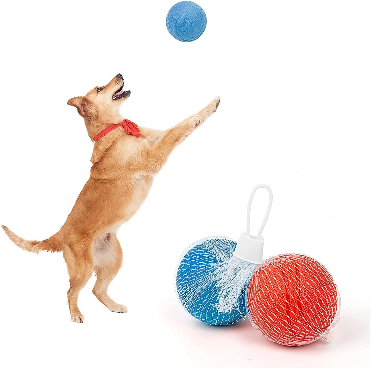Dog Toys Ball : Pet Supplies