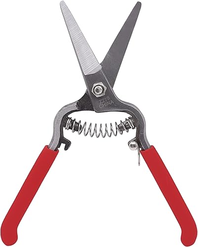 Zenport Z275 Needlenose Shear, Flor, 8-Inch Heavy Duty Forjado Acero Recto Hoja