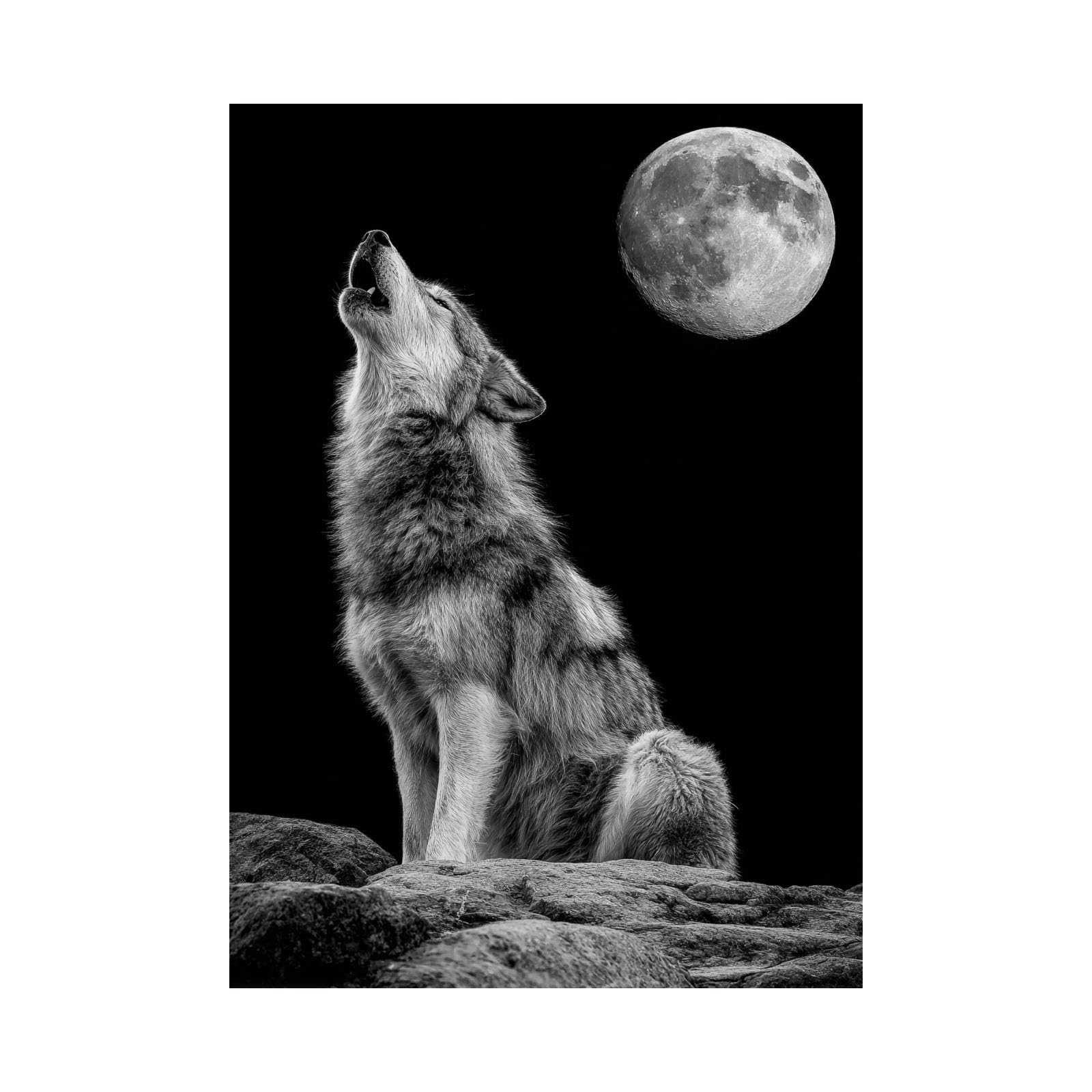 TERUEA Funny Animal Wall Decor Poster Wolf Full Moon Rocky Hill Picture for Bathroom Bathing Animals Humor Abstract Decor(Black)-70x100cm Unframed
