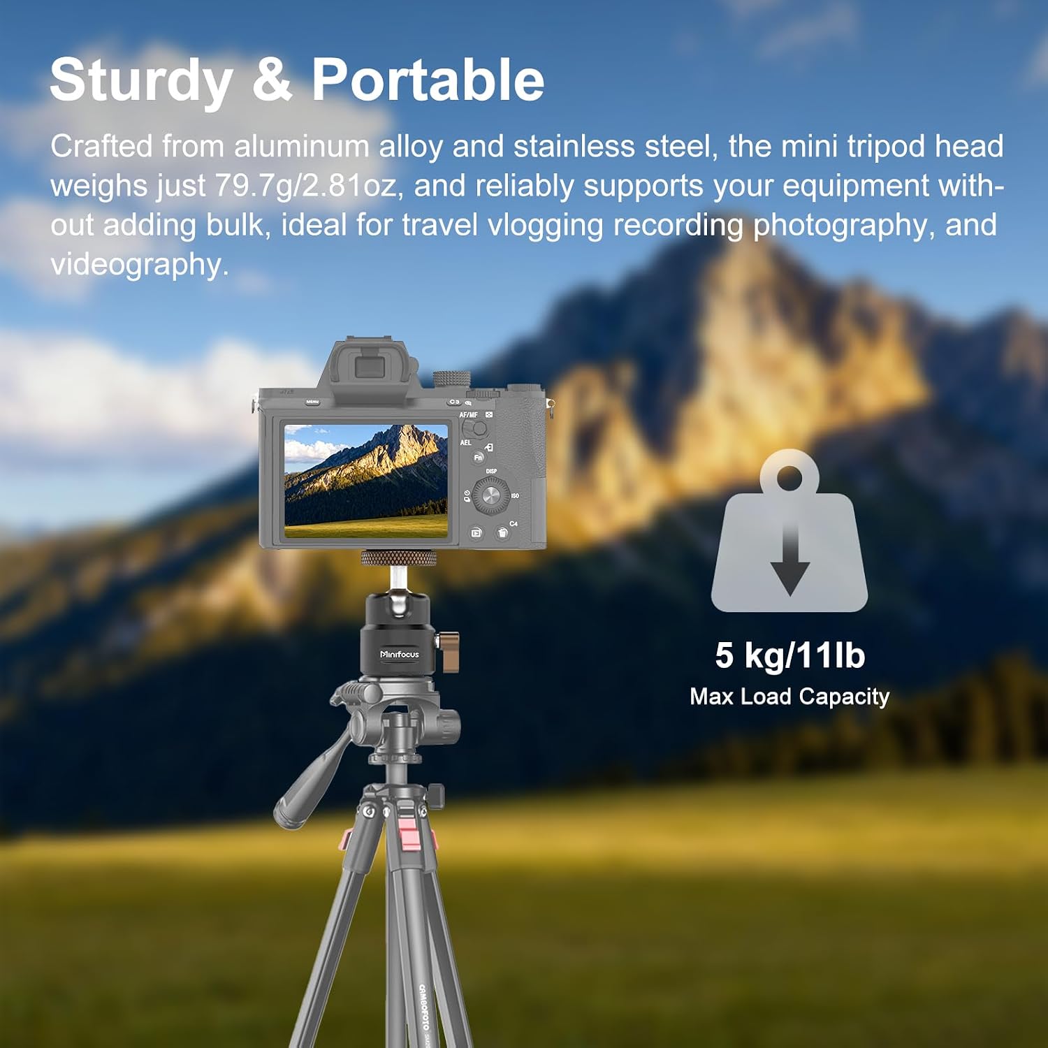 Mini Ball Head, Metal Tripod Ballhead w 1/4" Threaded Hole, 360° Swivel 125° Tilt Tripod Mount Adapter for Compact DSLR Mirrorless, Camcorder, Action Cam, LED Video Light, Light Stand, Max Load 11Ib