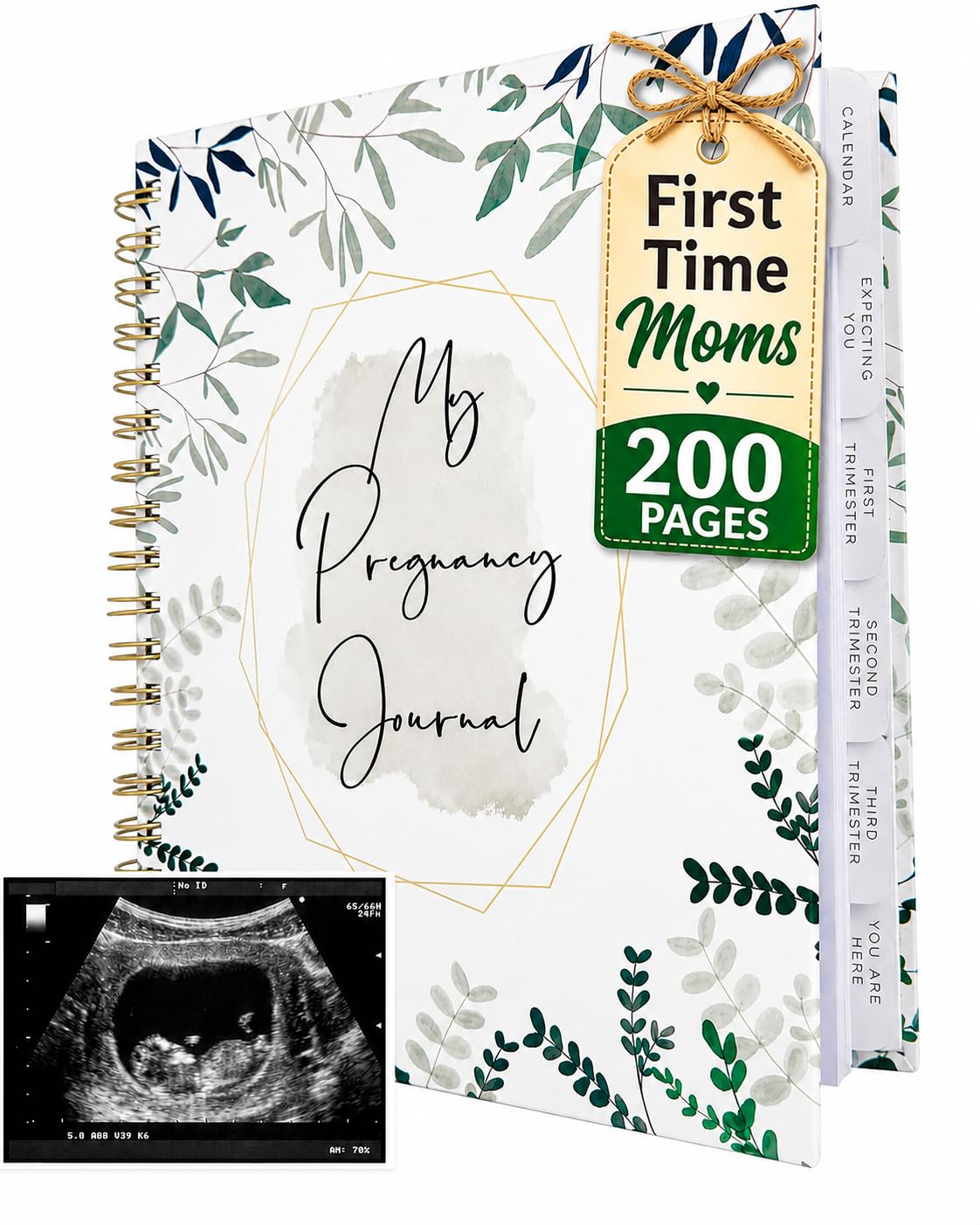 two little dinos Journal