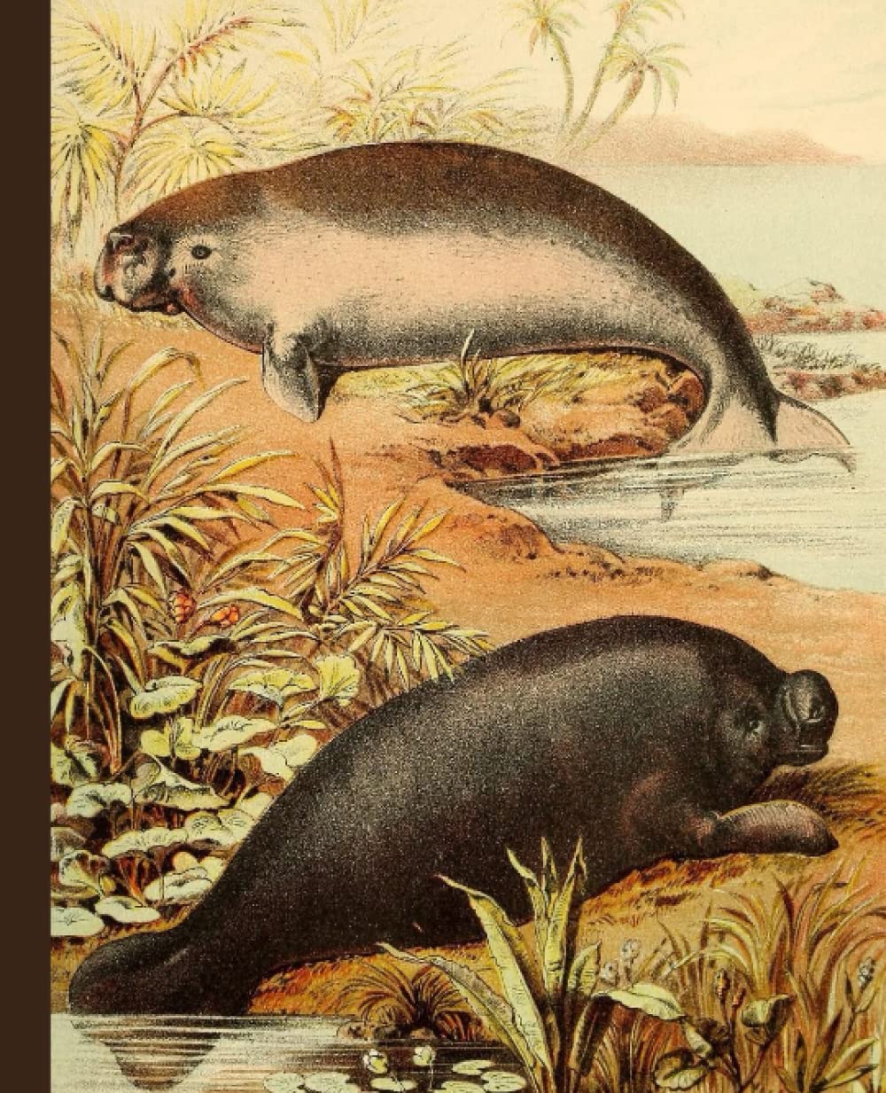 Unique Vintage Manatee Illustrated Notebook, Journal