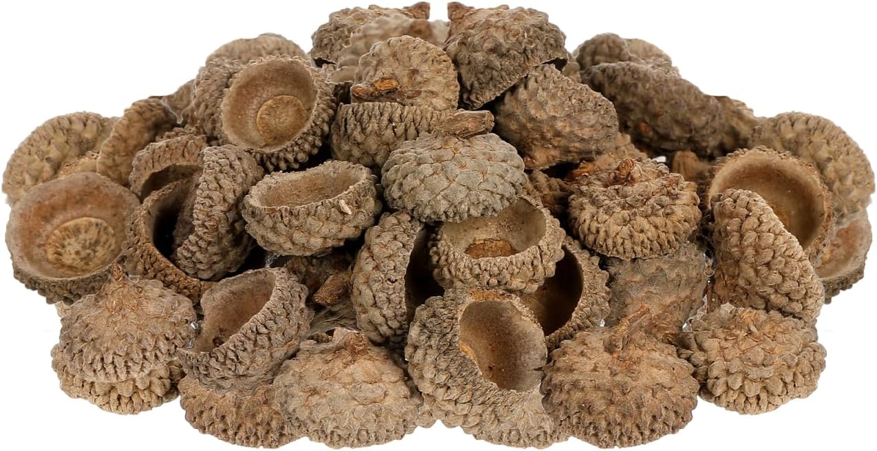 50 Pcs Natural Acorn Caps for Crafts Dry Acorn Shell Ornaments Vase Fillers for Autumn Christmas Home Decor