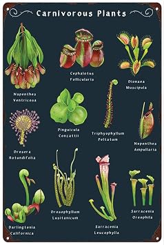 Retro Metal Tin Sign 8 X 12 Inches Carnivorous Plants Poster Insect Eating Plants Wall Art Botanical Wall Art Decor Carnivorous Plant Lover Gift Nostalgic Arts Decor Novelty Decorative Crafts