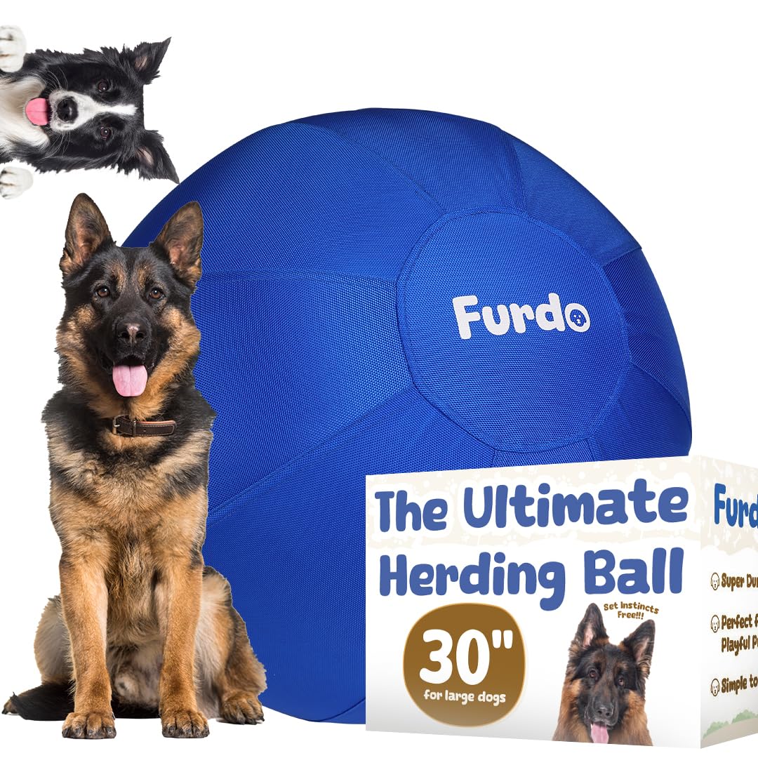 30 Herding Ball for Dogs for Australian Shepherd for Cattle for Border Collie for Blue Heelers Medium to