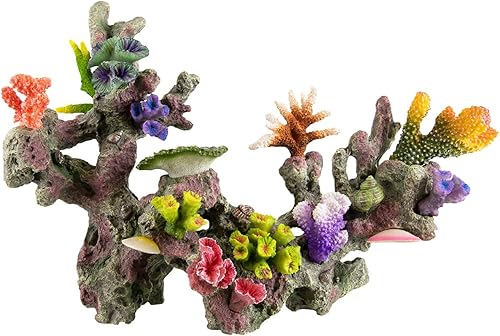 Underwater Treasures Arrecife de Fiji - C