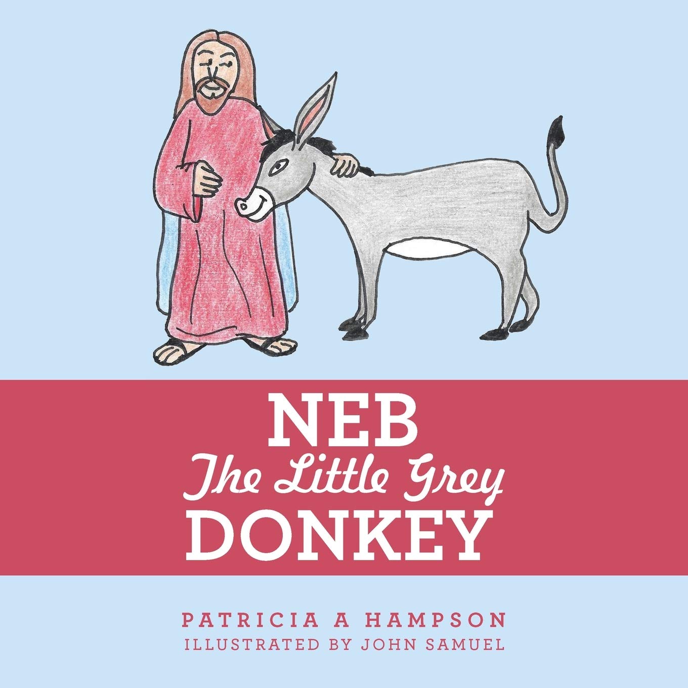 Liferich Neb the Little Grey Donkey