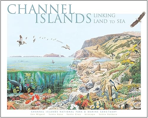 Miniatura 2 de Pigment & Hue - Rompecabezas de 1000 piezas para adultos (Parque Nacional de las Islas del Canal y Santuario Marino)