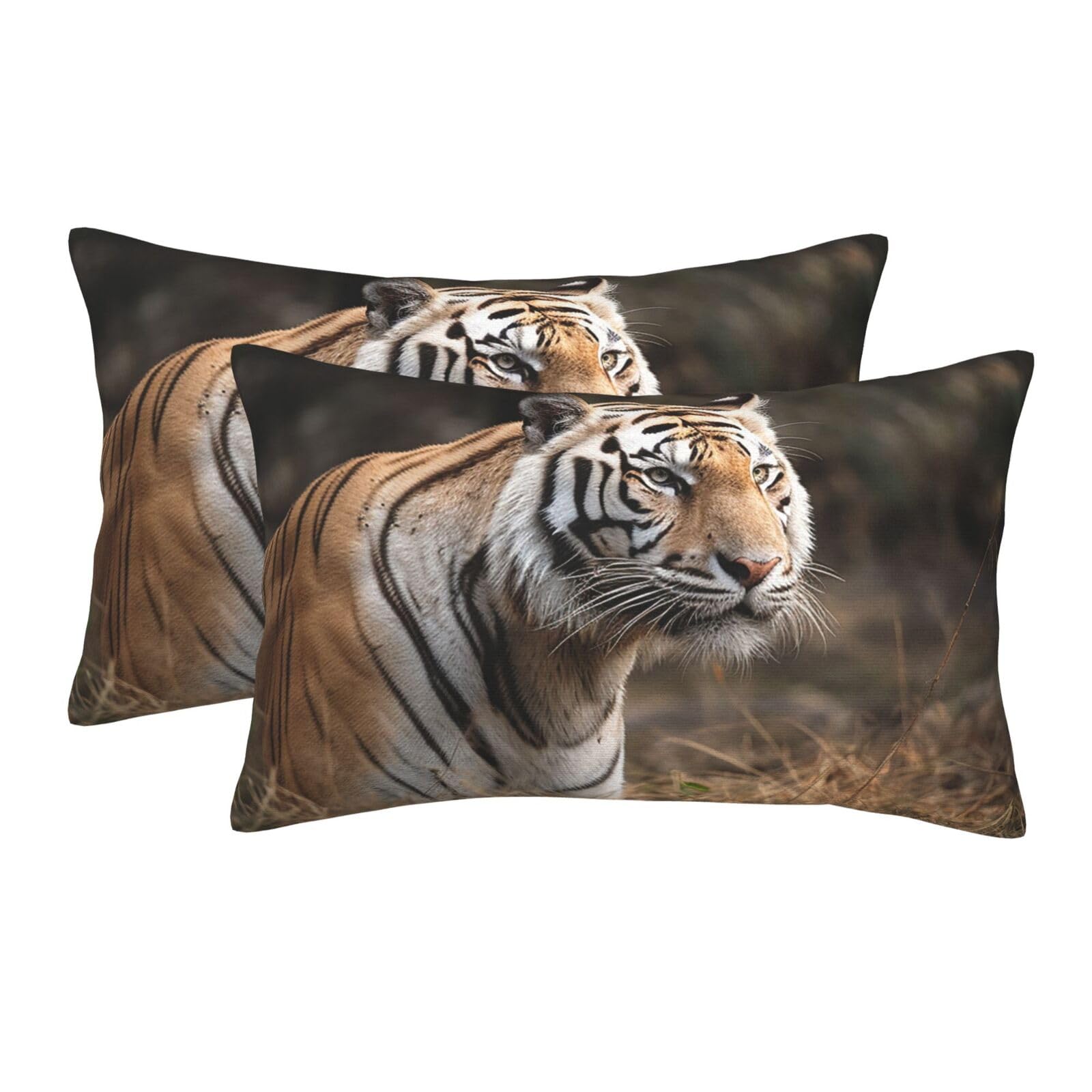 2 Pack Pillow Cases with Hidden Zipper, Soft Breathable Pillow Covers for Hair and Skin, Wildlife Tiger Pillowcases 20"x30" Bed Pillow Protectors Cover for Sleeping Gifts