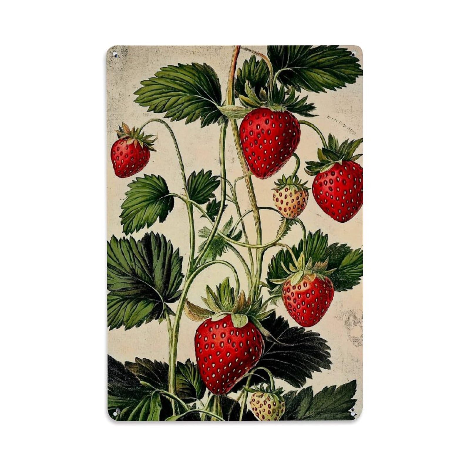 Vintage Strawberry Botanical Illustratio_1vm4u Retro Metal Tin Sign, Vintage Metal Poster for home, Gaming Room, Studio Workshop,Bar,Garage Wall Art Decor 8x12 Inch