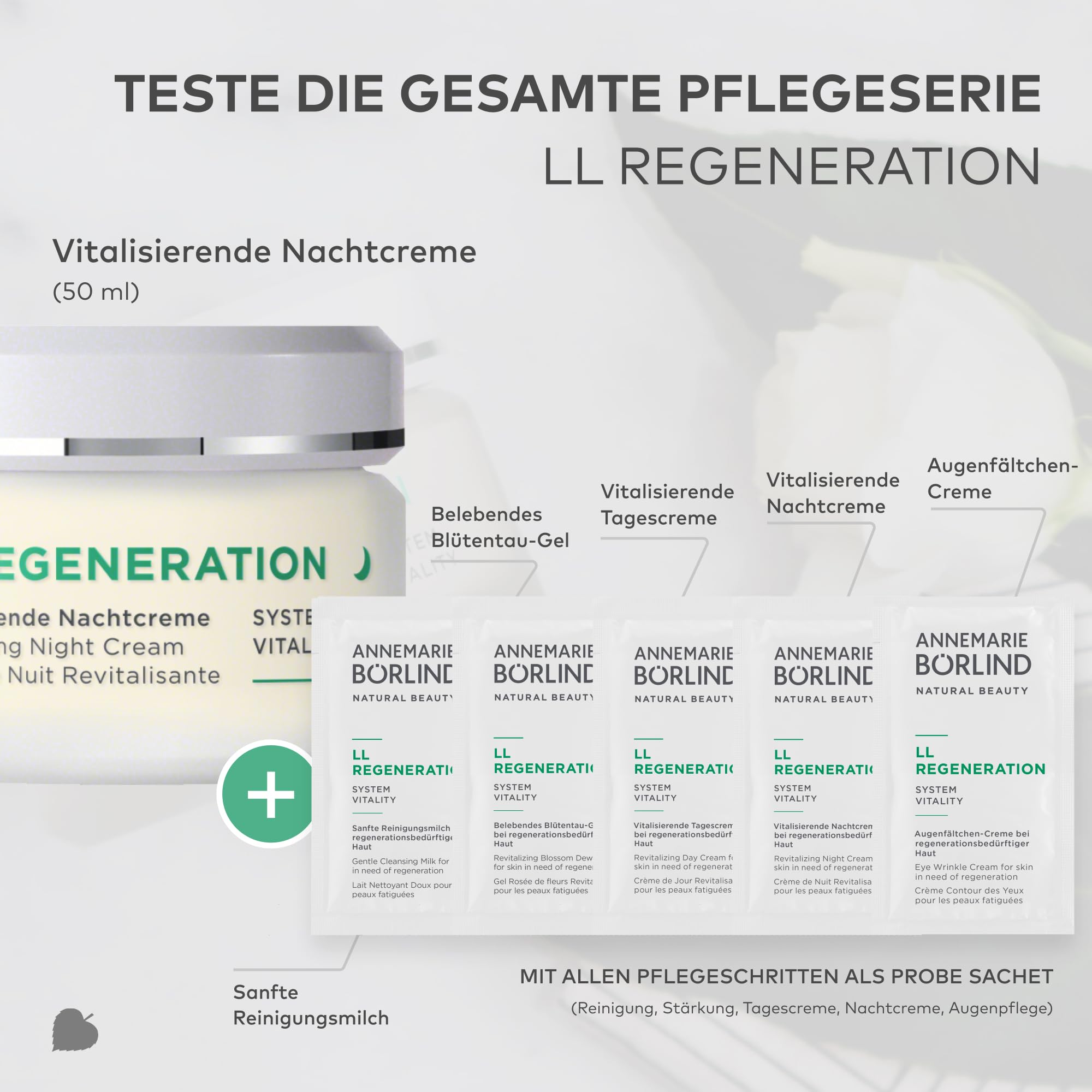 ANNEMARIE BÖRLIND LL REGENERATION Crema da notte vitalizzante (50 ml) + bustine di campione (tutta la routine di cura) – accelera il rinnovamento cellulare della pelle, favorisce la tonificazione e la