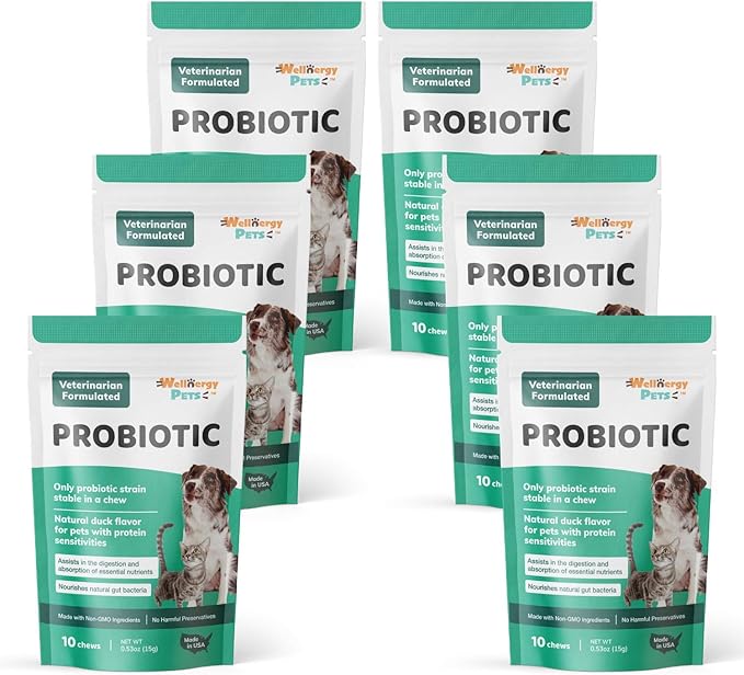 Wellnergy Daily Probiotic & Prebiotics Soft Chew for Dogs & Cats Digestive Support