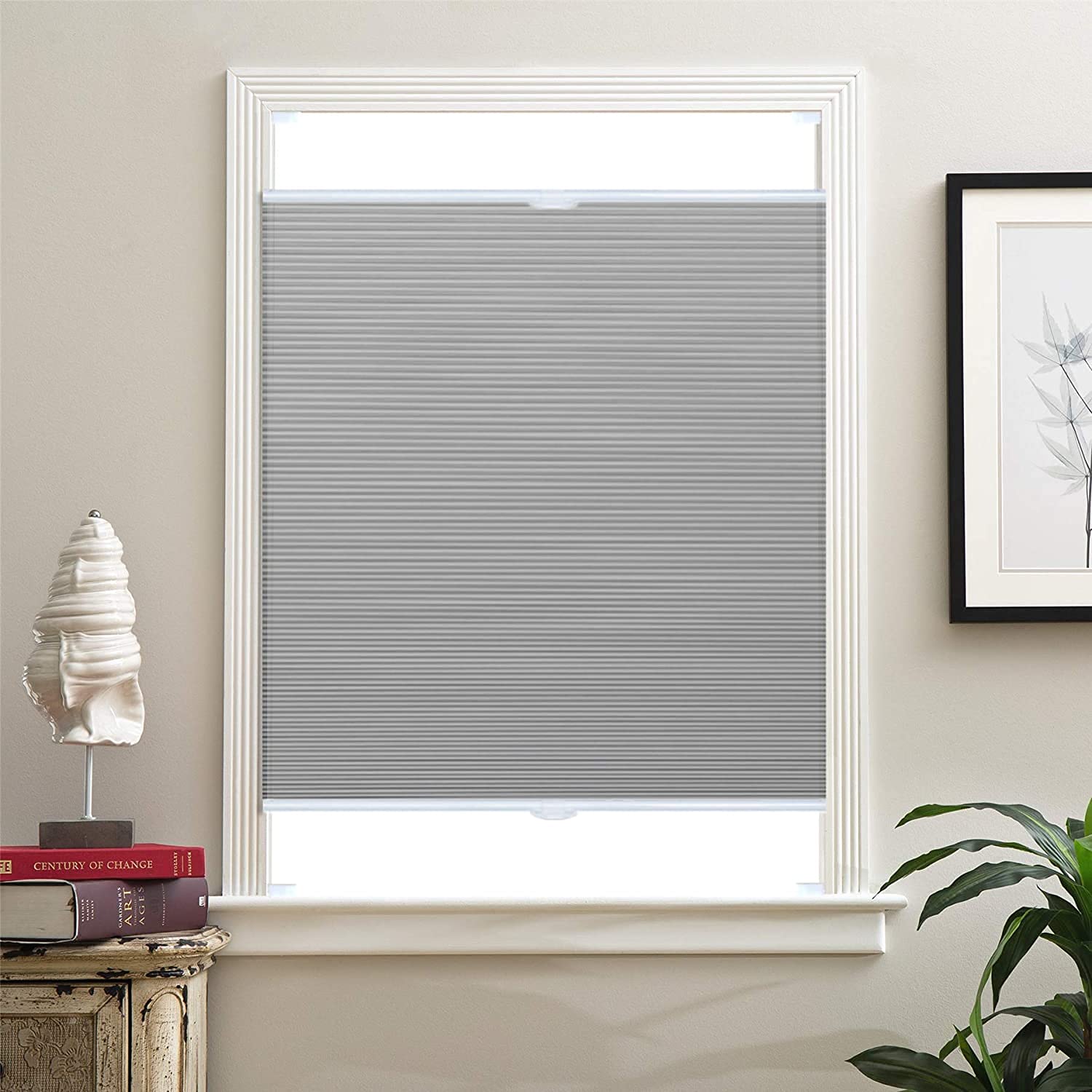 blinds on amazon
