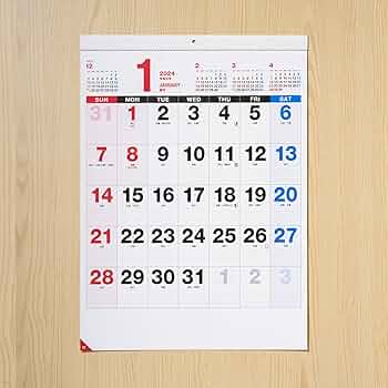 Man 公式カレンダー 5点セット 数量限定!】マルマン maruman 図案スケッチカレンダー 2025年版