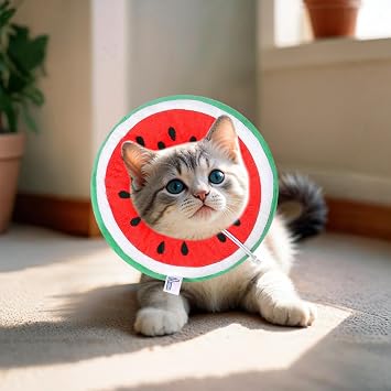 Cat Donut Collar, 2 PCS Cat Recovery Collars & Cones, Adjustable Soft Cone for Cats, Prevent Licking Biting Protect Wounds for Cats Puppies and Rabbits (M)