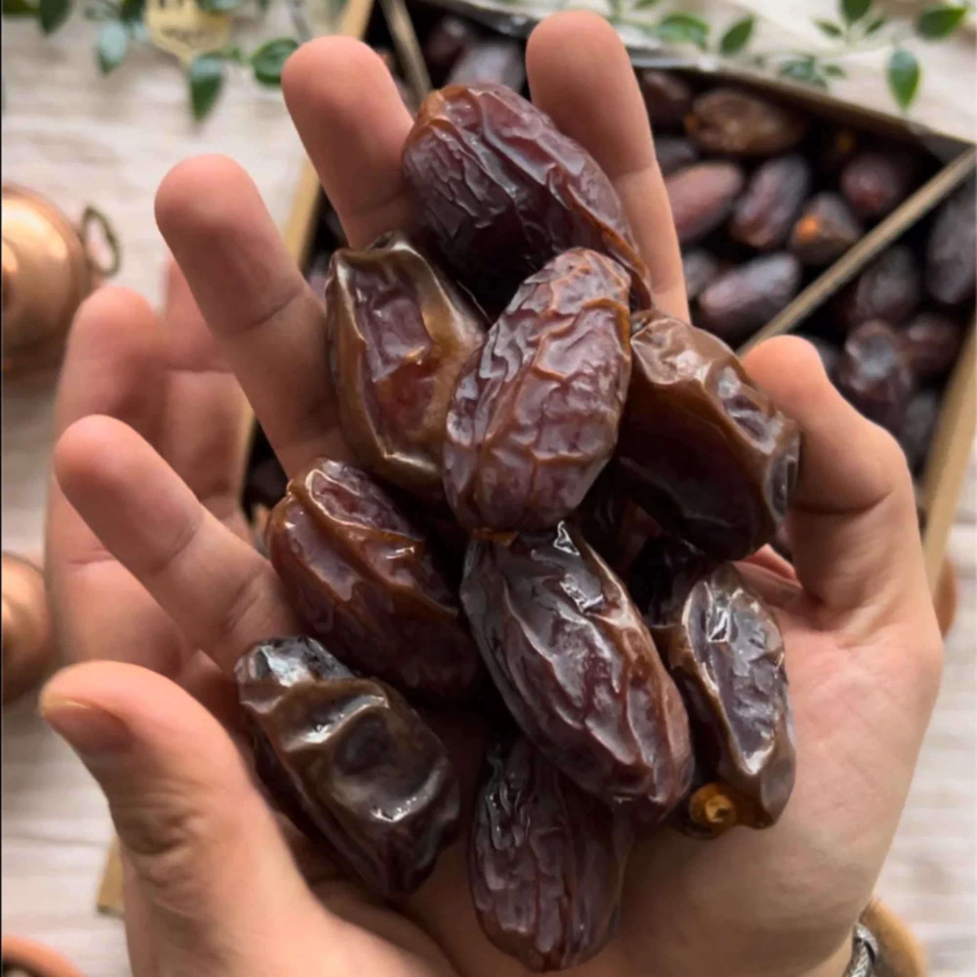 Medjoul Datteln Large Medjool Dates mit Kern 5kg