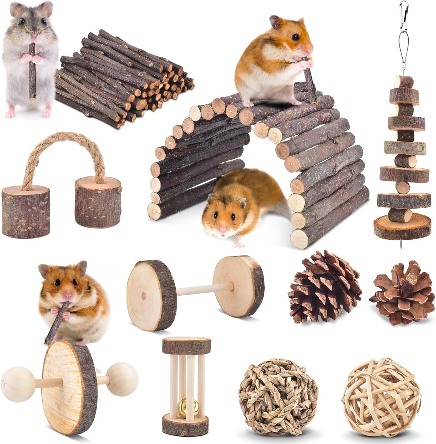 ERKOON 11 Pack Chinchillas Chew Toys, Toys Accessories for Teeth Care, Natural Apple Wood Ladder Bell Roller for Russian Hamster Gerbils Rats Guinea Pigs (11PCS)