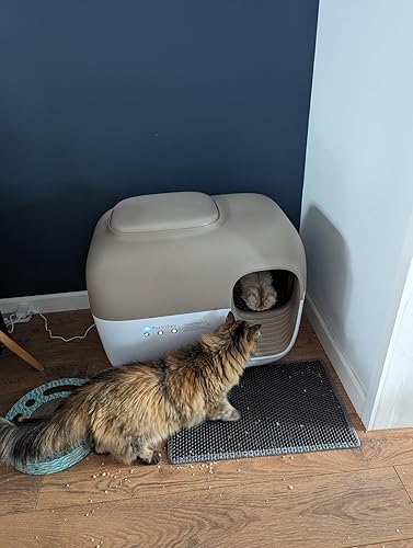 Amazon | PetSnowy Snow+ セルフクリーニング猫用トイレボックス 0