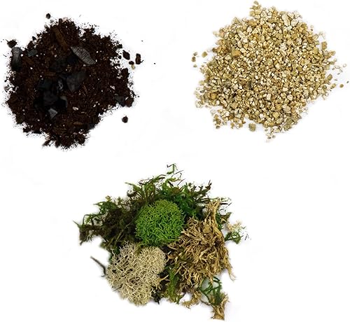 Miniatura 4 de Cute Farms - Juego de terrario para principiantes  Musgo, vermiculita, tierra, piedras, alimento para plantas, herramientas de terminado