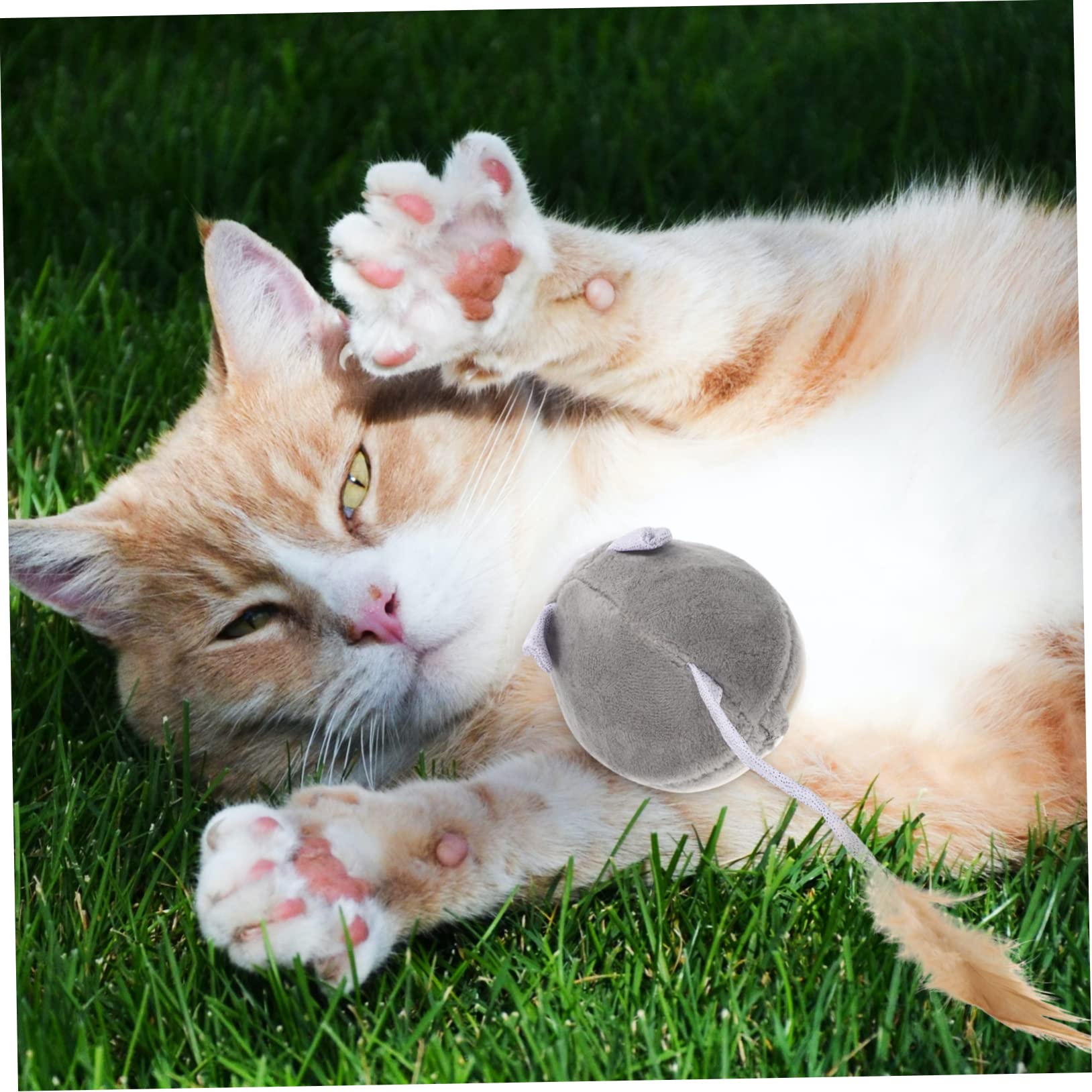 Yardwe 3stücke Katzenminze Interaktives Spielzeug Für Kätzchen Mäuse Mit Geräuschen Fördert Bewegung Und Spielvergnügen Hält Ihre Katze Und Glücklich
