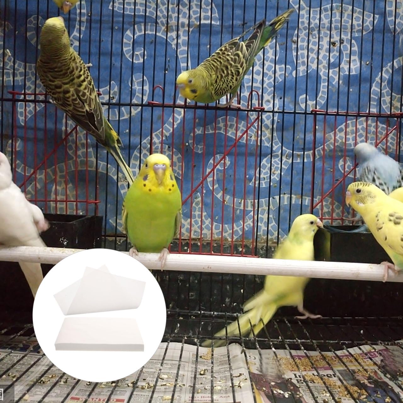 minkissy Doublure De Cage Oiseau Absorbante Non Tissé 13.78X9.84In Jetable Tapis Hygiénique Respirant pour Perroquet Protection Quotidienne