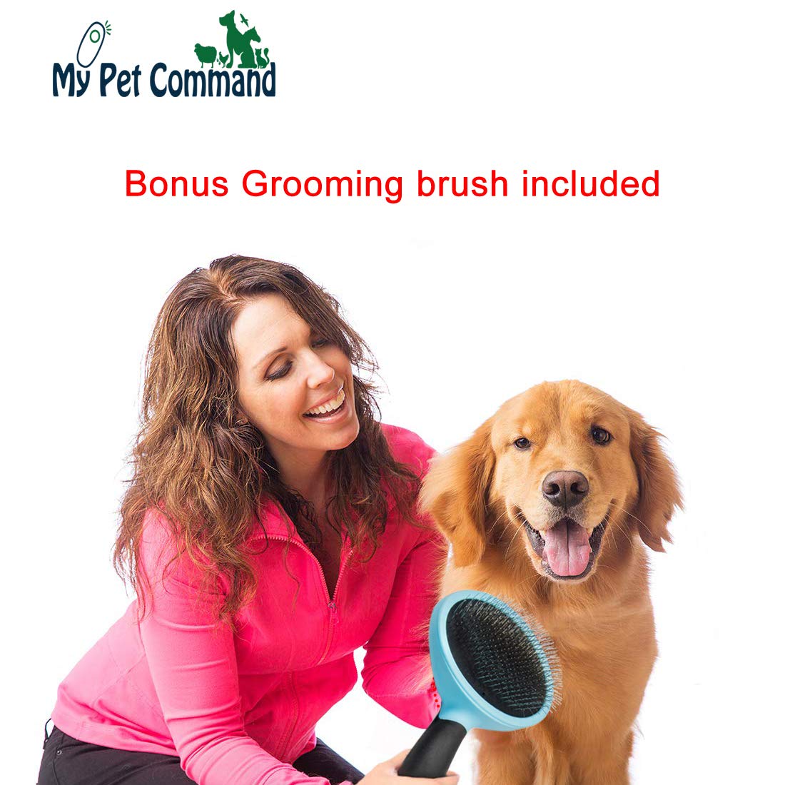 Buy My Pet Command 220V Dog Hair Dryer Professional High Velocity Blower blaster 500W2800W 4HP