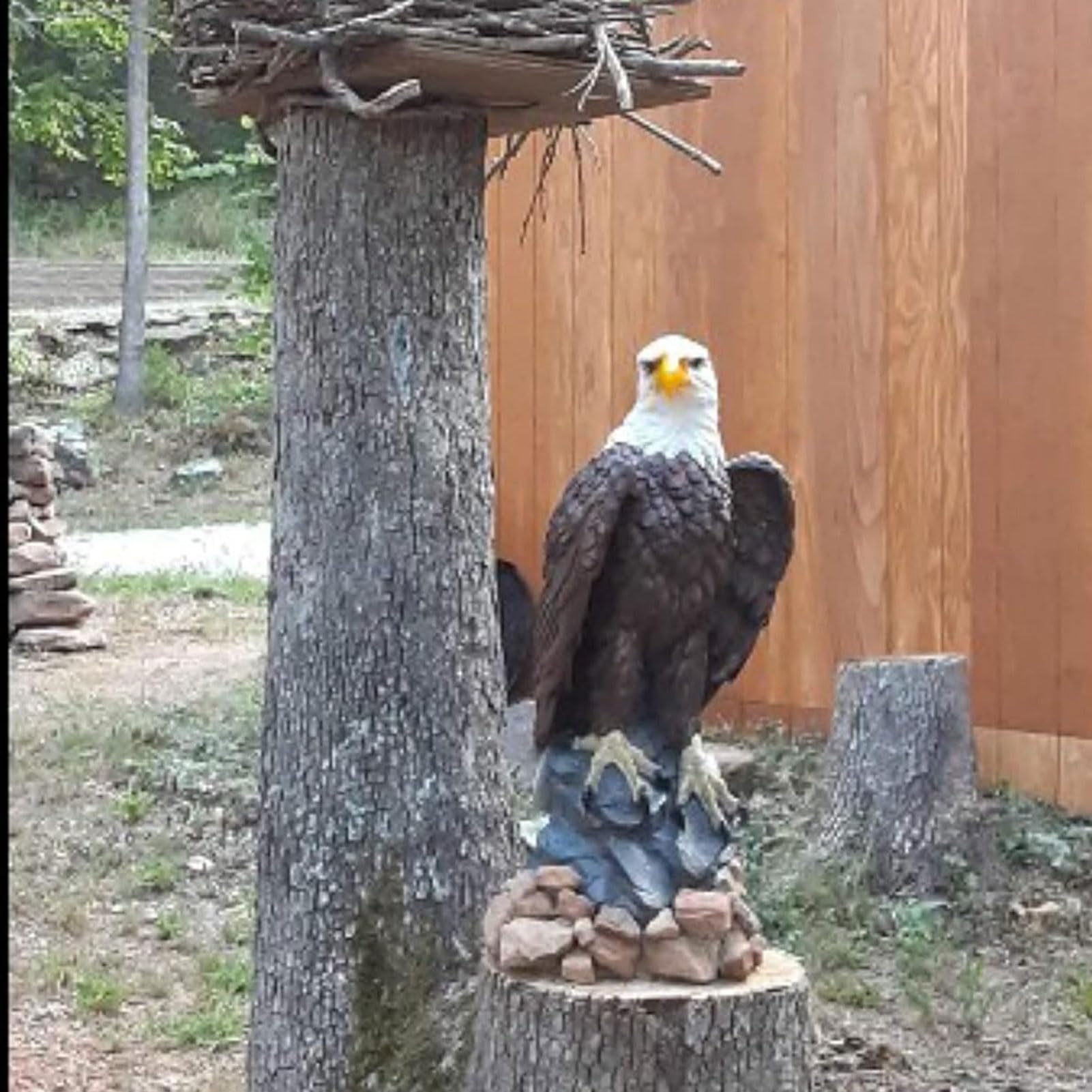 Weißkopfseeadler Garten Statue, Gartendeko Adler Deko, Gartenfiguren Deko für Draußen, Harz Statue, Bauernhof Deko, Wasserdicht, Geschenk für Haus, Hof, Rasen, Balkon Dekoration