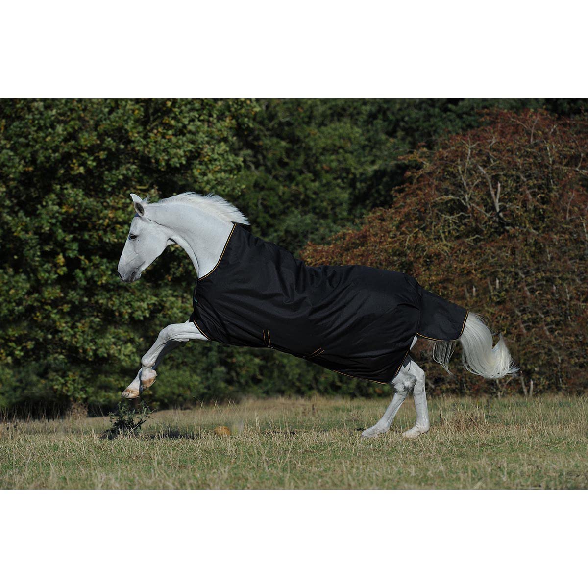 Capa impermeable para caballo - Bucas Irish Turnout Light 50g cuello alto 1200D - negro / dorado, negro, 135