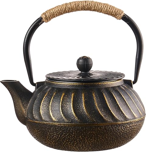 PARACITY Tetera de Hierro Fundido Japonesa 700ml/23oz, Tetera Hervidor para Estufa, Tetera con Infusores de Acero Inoxidable para Té Suelto, Agua