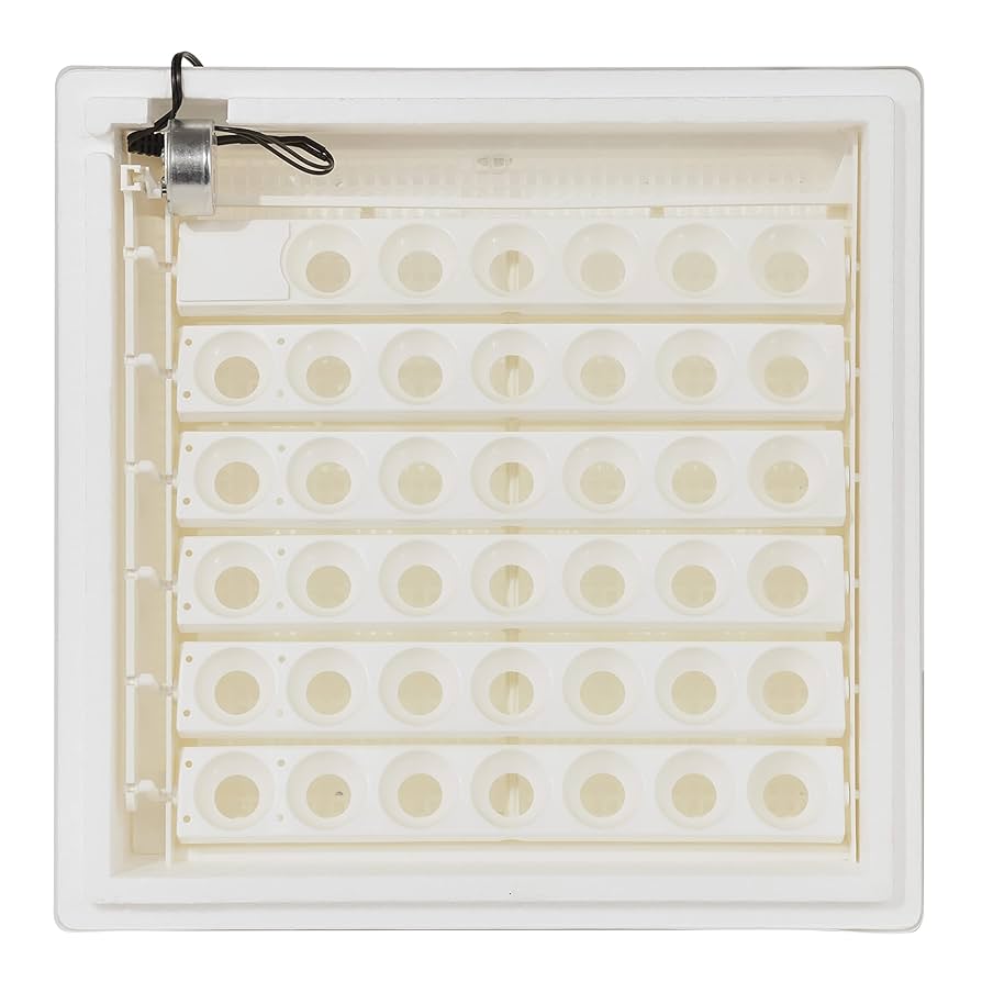 NUARL Inovatör White Porcelain Laminar Flow Hoods & Workstations | Horizontal & Vertical