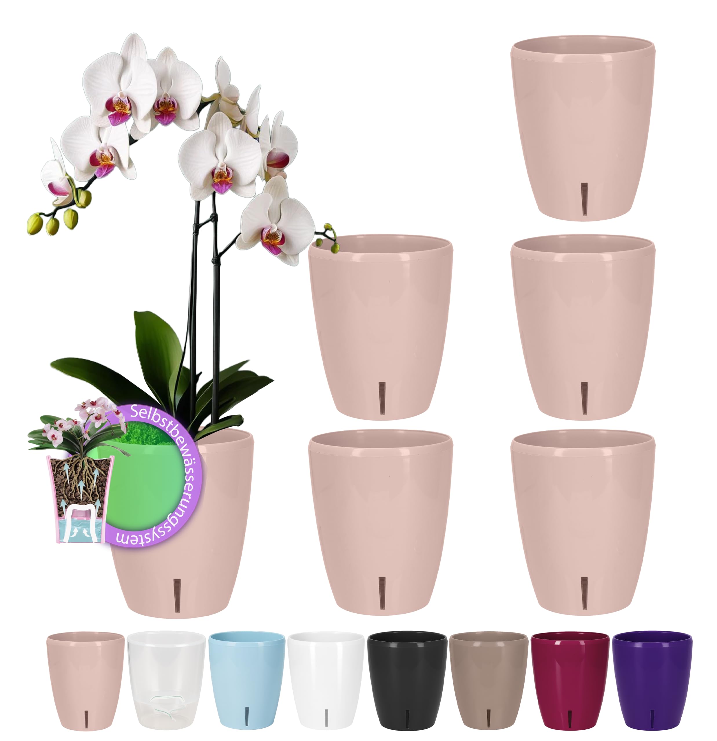Santino Maceta para Orquídeas Ø 12cm Maceta Autorriego con Sistema de Mecha e Indicador de Nivel de Agua para Interior (Ø 12cm - 1,3L - Transparente) — view 33