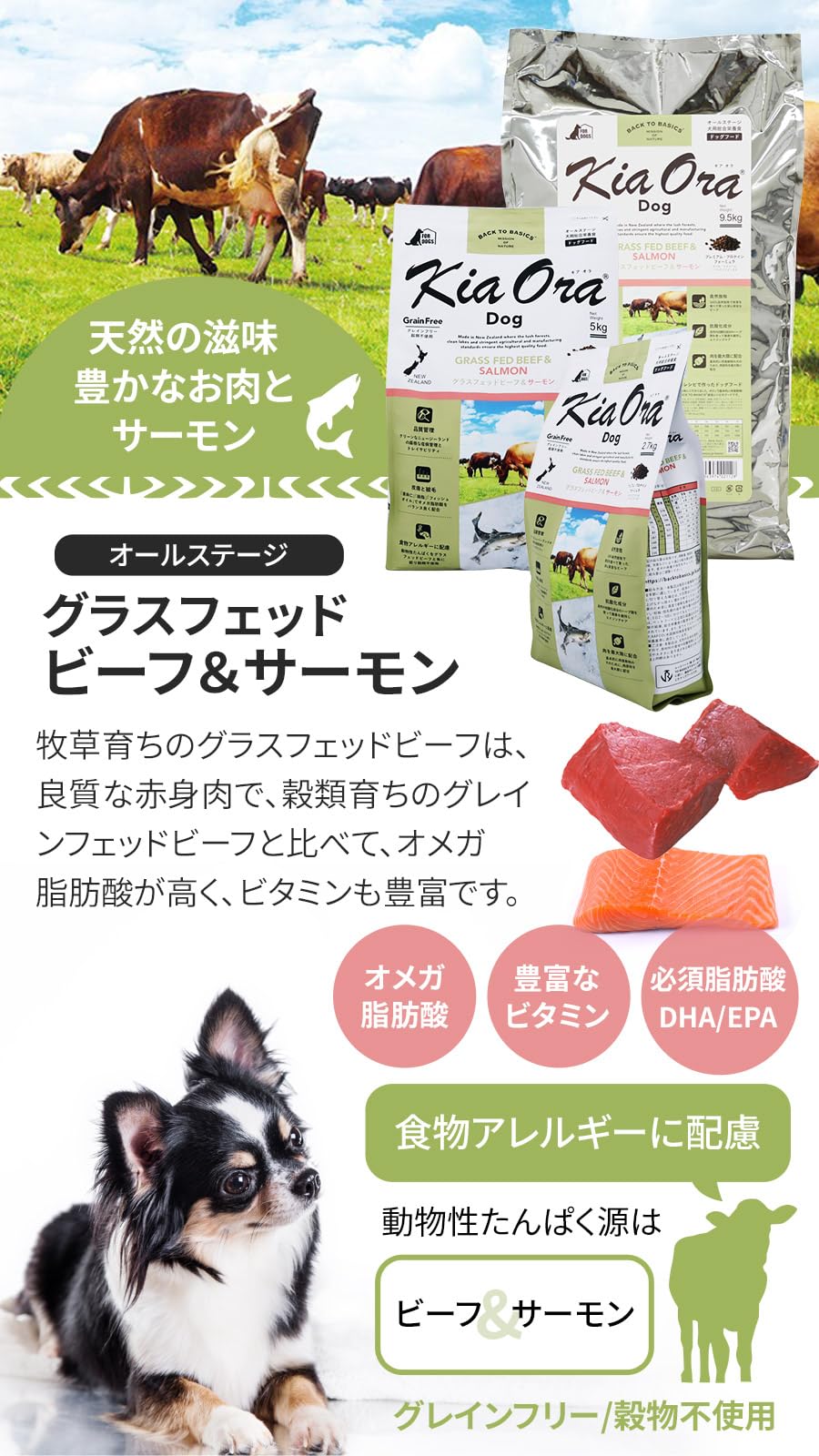 Amazon.co.jp: キアオラ ドッグフード グラスフェッドビーフ＆サーモン 