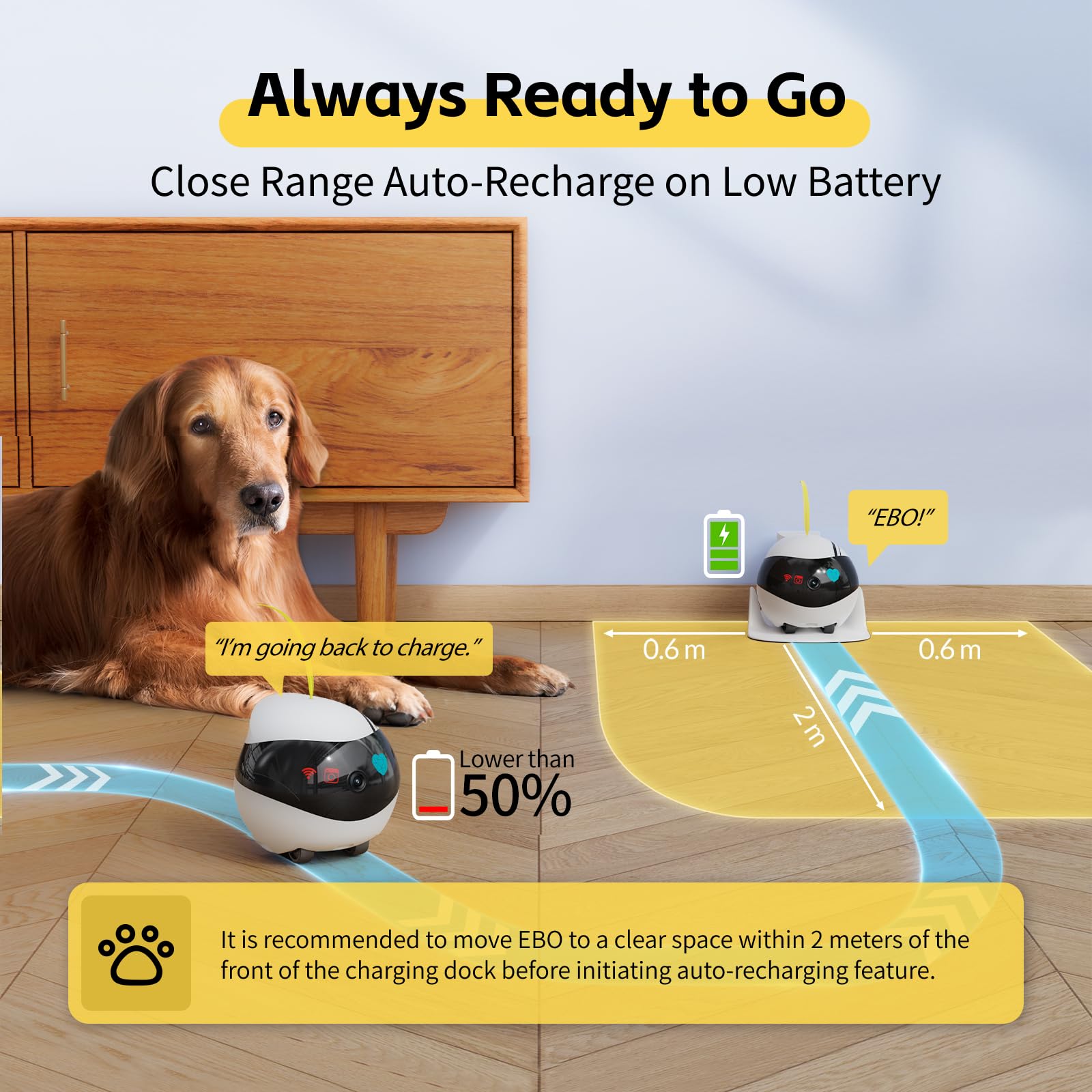 Enabot Telecamera Wi-Fi Interno per Famiglia/Animale senza Fili,Movibile Robot con Tracciamento AI,Audio a 2 Vie,Telecamera Anti-Caduta con Ricarica Autonoma,APP Telecomando con Animale Elettronico