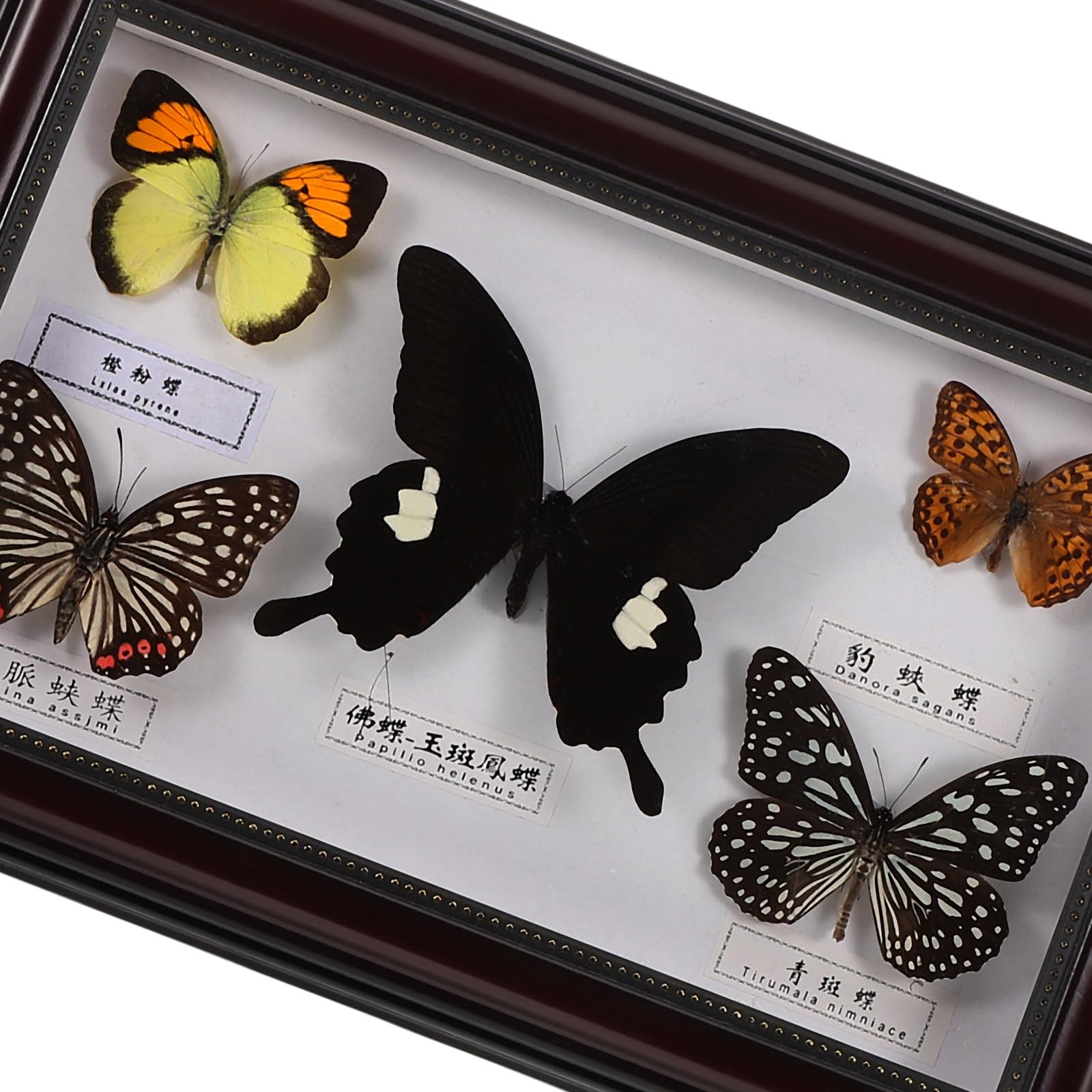 Marco de Fotos Decorativo de Madera Mariposas para Decoración de Pared Hogar, Diseño Práctico y Versátil Estilo Retro y Elegante
