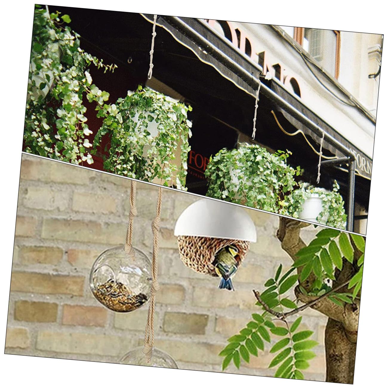 3 Ensembles Rallonge De Crochet Pour Plante Cintre Jardinière Suspendue D'extérieur Corde À Suspendre Pour Pot De Fleurs Corde Suspendue Pour Pot De Fleurs Coton Beige 8 Pièces * 3