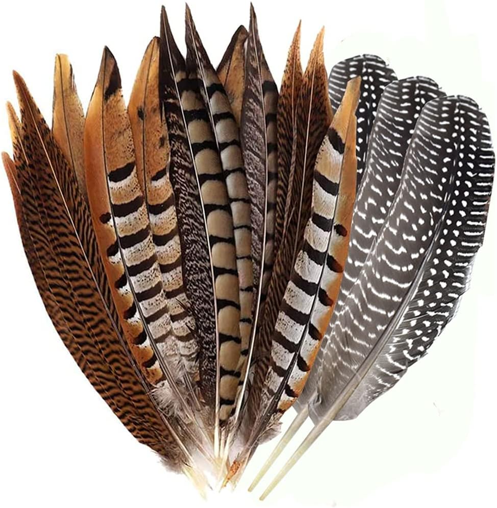 Flying Feathers Natural Pheasant Feathers 4 Style 15-20cm 12pcs Natural Feathers for DIY Craft Home Party Decorations FF03โฆ