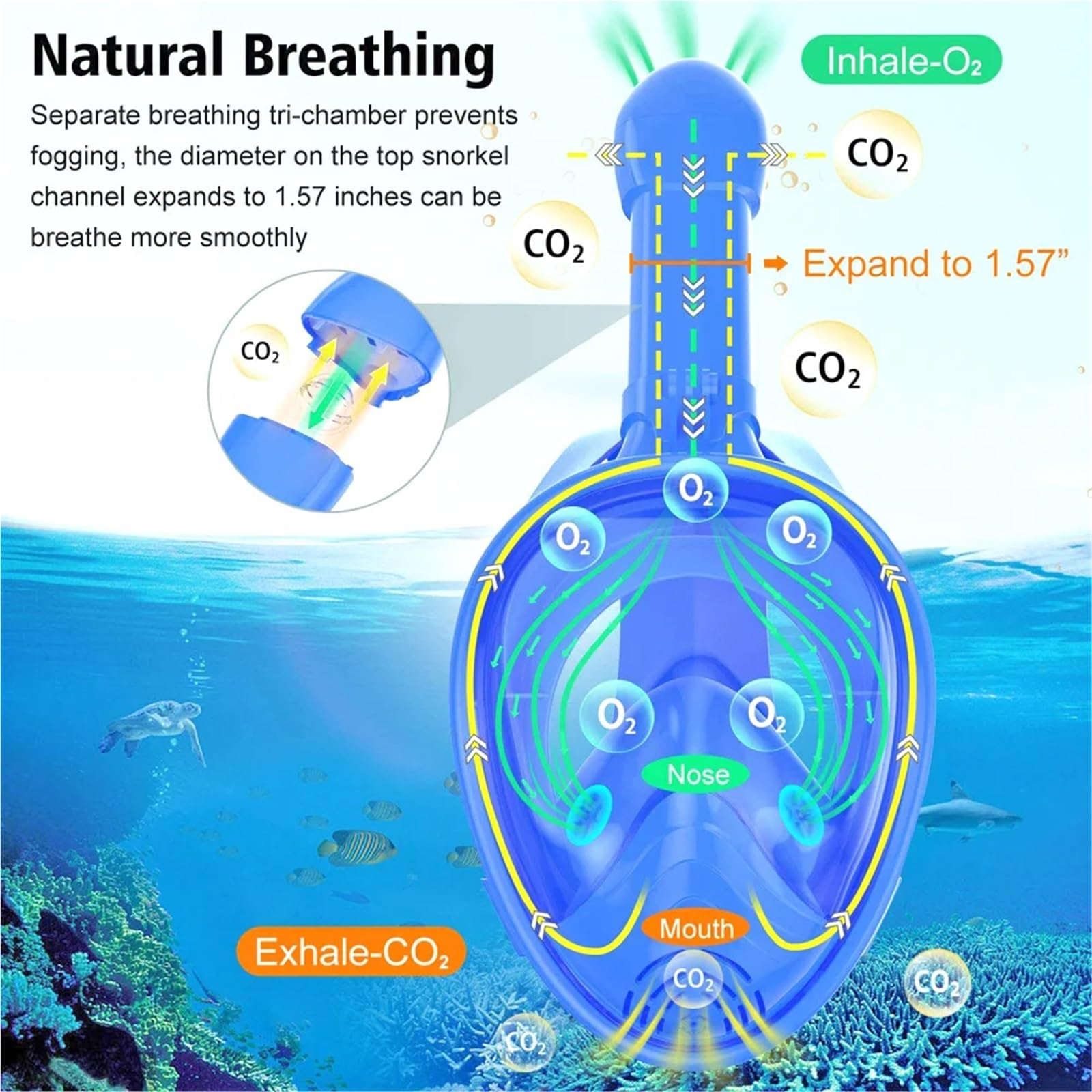 Masque Masque de plongée intégral avec Tuba et Support de caméra Amovible, Vue Large, antibuée et antifuite Diving Masks(Green)