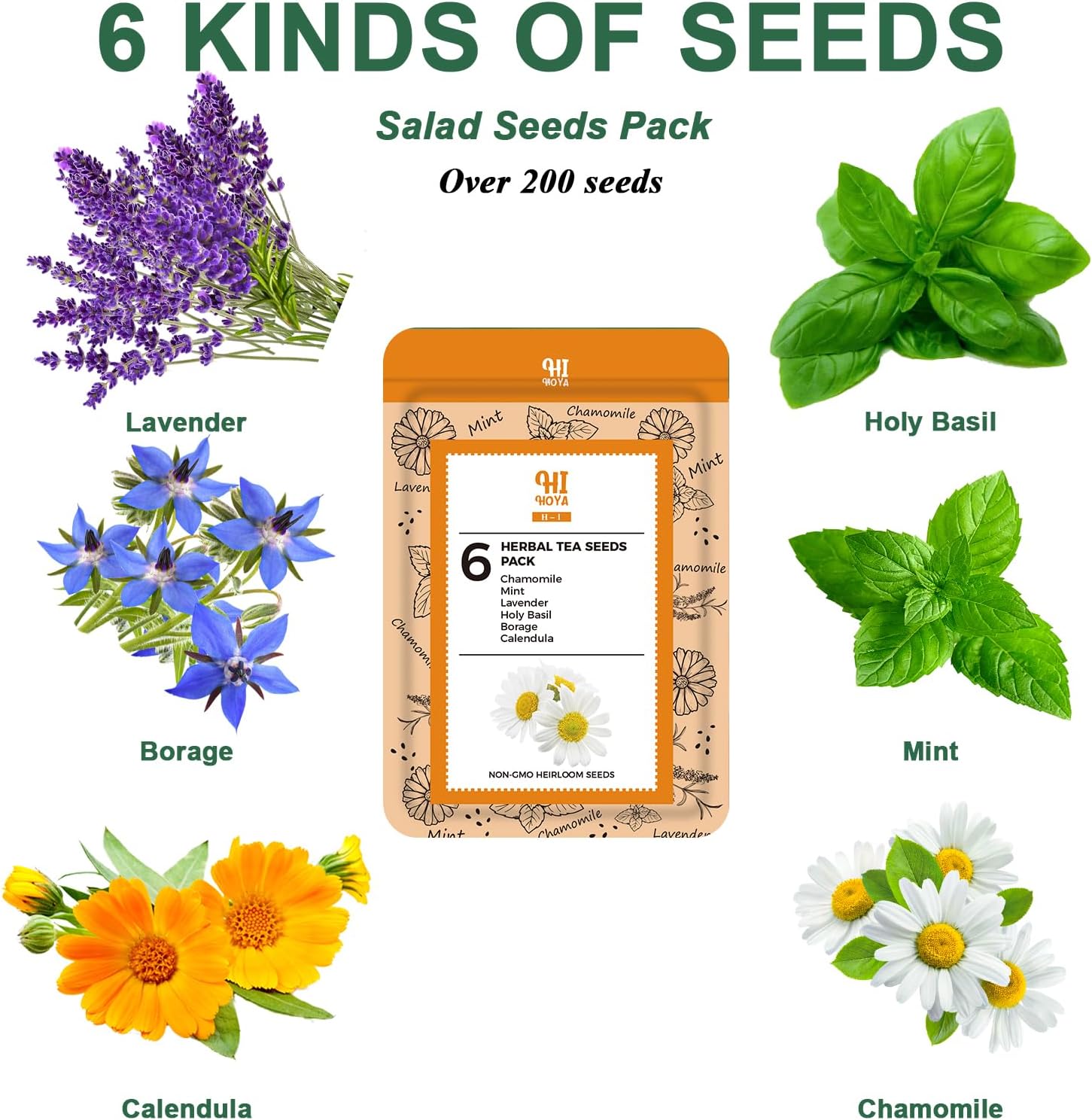 Lavender Seed Pod Kit, 8 Pod Kit (Include Seed Lavender/Chamomile/Holy Basil/Borage/Calendula/Mint) Fresh Tea Seed Pod Kit Compatible with Hydroponics - Image 2
