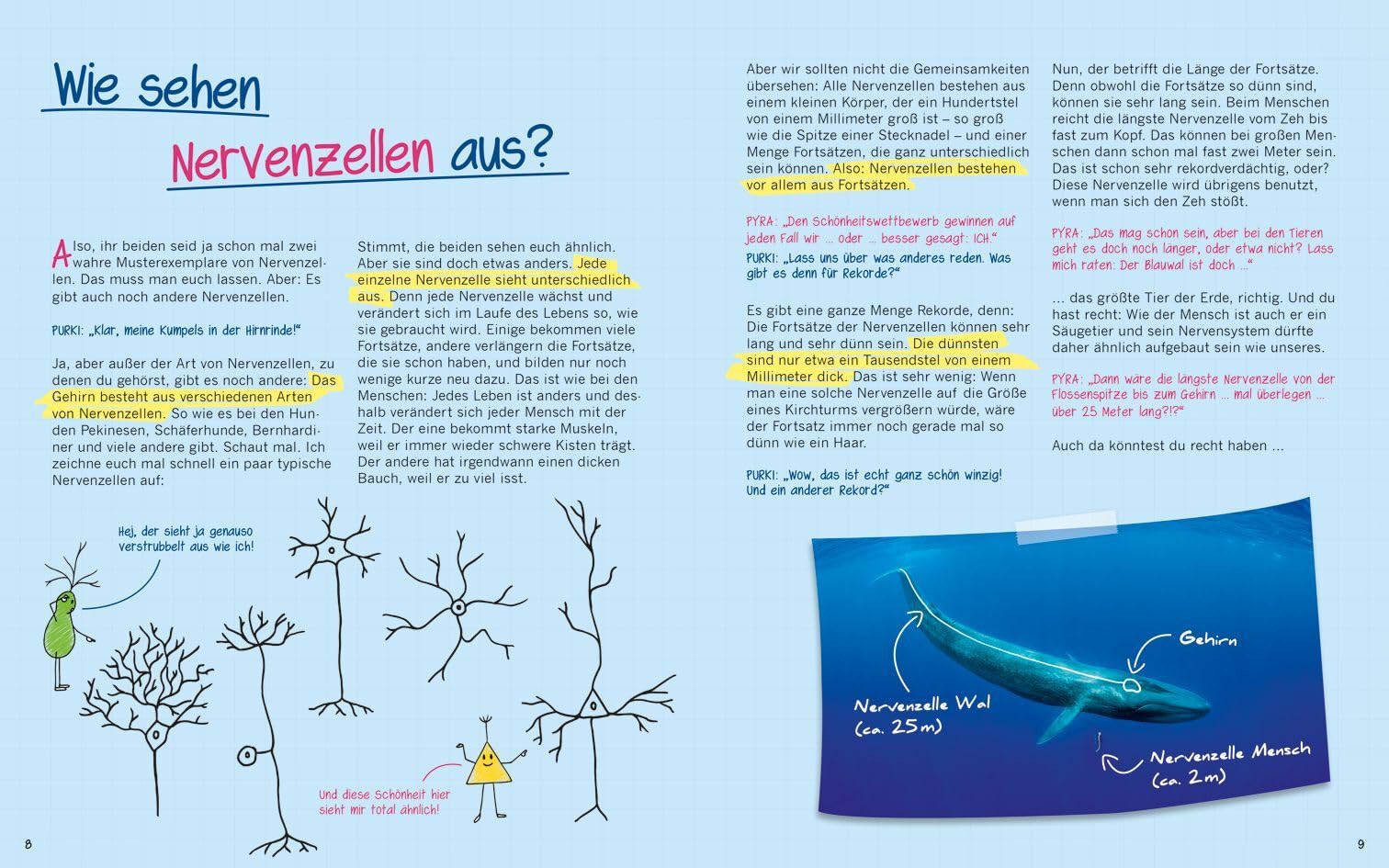 Warum graue Zellen auch mal rosa sind. Spannende Fragen und Antworten rund um dein Gehirn