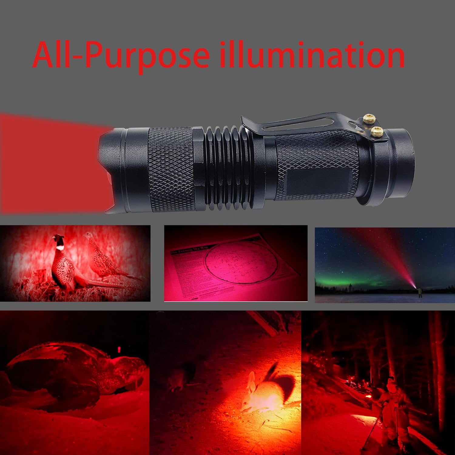 3 Color Light Flashlight Set: Red, Green, Blue LED Flashlights for Night Activities, 3-Pack with Zoomable Focus and Special Animal & Fishing Modes