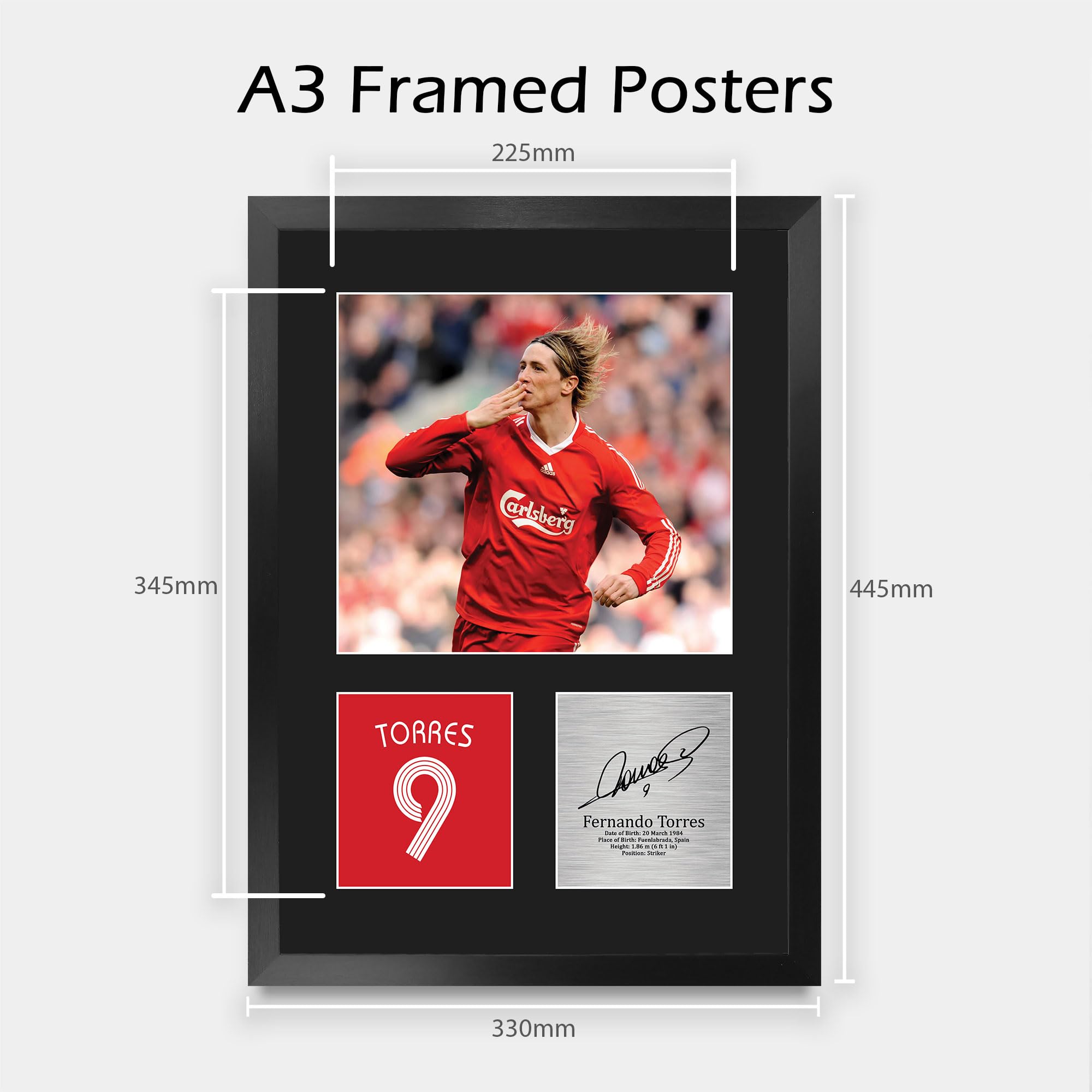 Amazon.co.jp: HWC Trading Fernando Torres Liverpool Giftsプリント